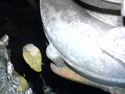 DSC00079.JPG (85.72 KiB) Przejrzano 10586 razy DSC00079.JPG